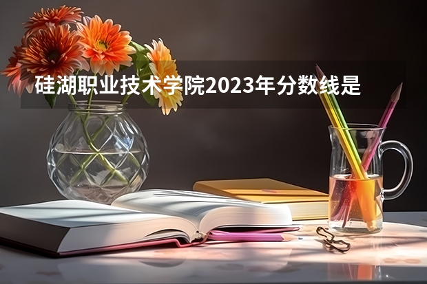 硅湖职业技术学院2023年分数线是多少 硅湖职业技术学院往年分数参考