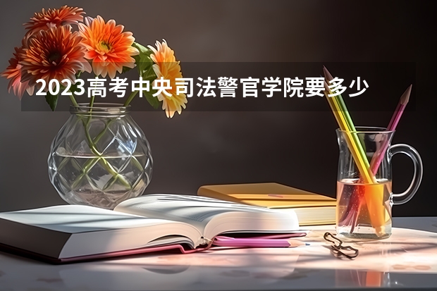 2023高考中央司法警官学院要多少分录取 重庆高考553分有可能上的大学有哪些
