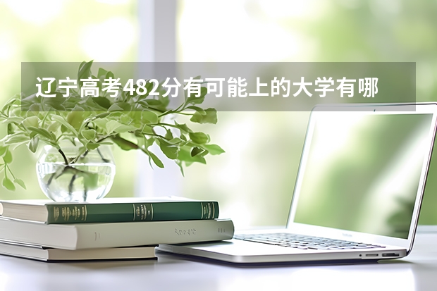 辽宁高考482分有可能上的大学有哪些 云南新高考3+1+2政策