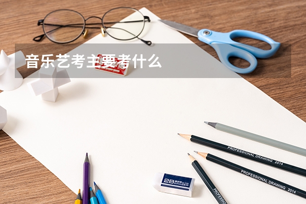音乐艺考主要考什么