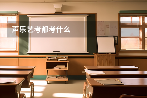声乐艺考都考什么