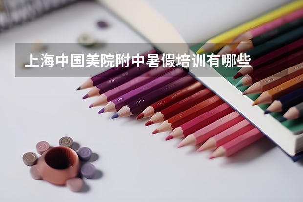 上海中国美院附中暑假培训有哪些
