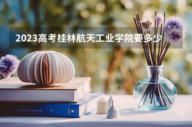 2023高考桂林航天工业学院要多少分录取 2023河北新高考赋分规则