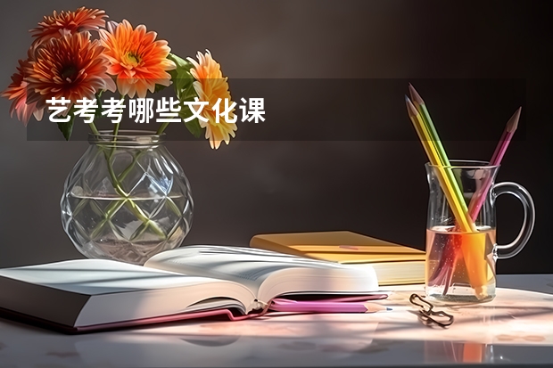 艺考考哪些文化课