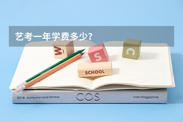 艺考一年学费多少？
