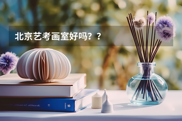 北京艺考画室好吗？？