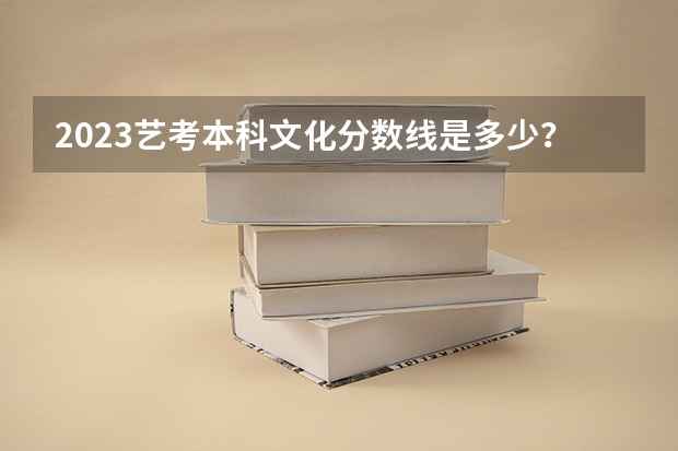2023艺考本科文化分数线是多少？