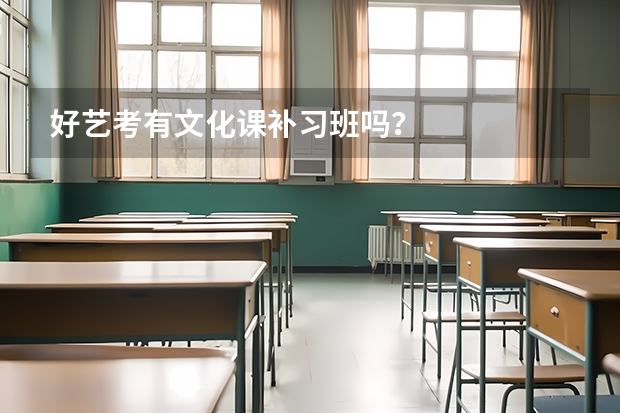 好艺考有文化课补习班吗？