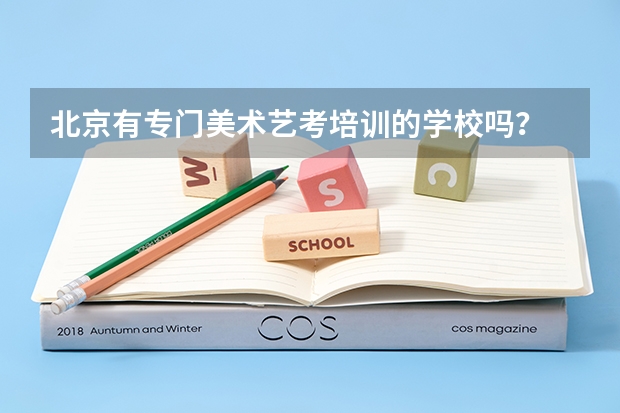 北京有专门美术艺考培训的学校吗？