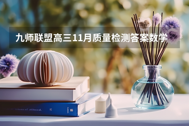 九师联盟高三11月质量检测答案数学2023湖北新高考卷 