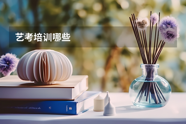 艺考培训哪些