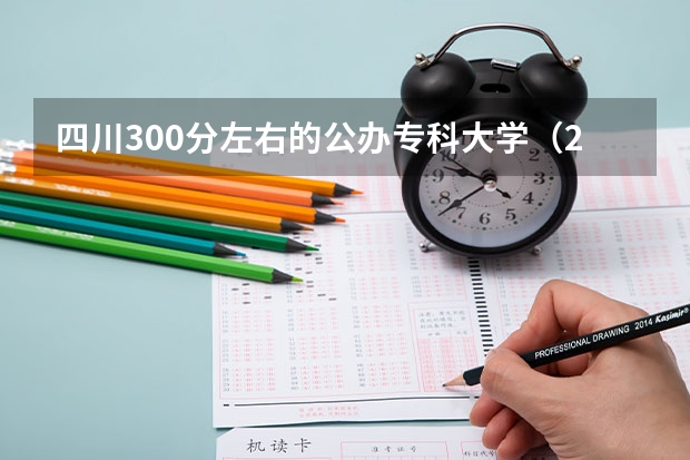 四川300分左右的公办专科大学（2023高考参考） 报名要求有哪些