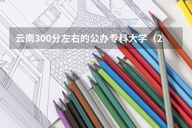 云南300分左右的公办专科大学（2023高考参考） 有什么限制