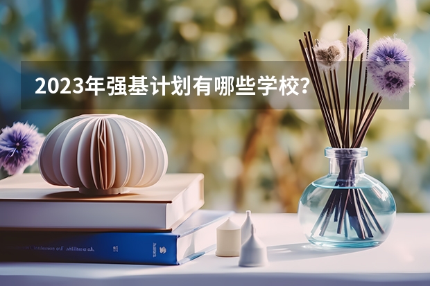 2023年强基计划有哪些学校？