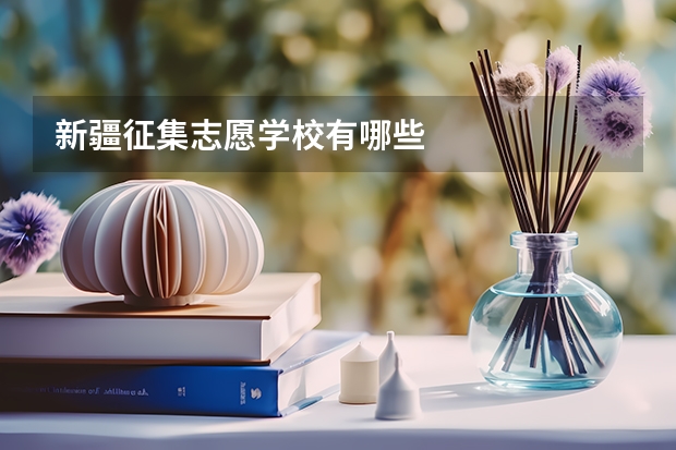 新疆征集志愿学校有哪些