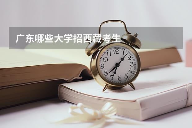 广东哪些大学招西藏考生