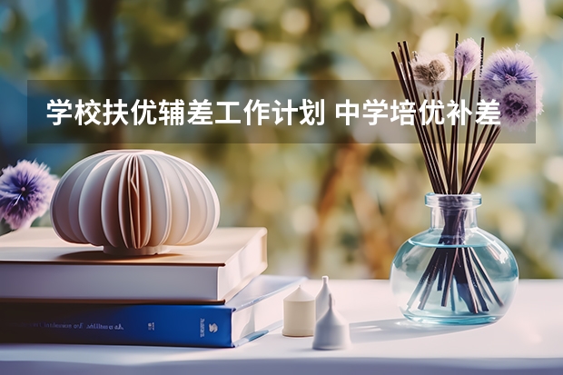 学校扶优辅差工作计划 中学培优补差计划