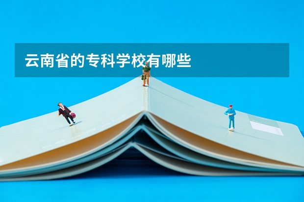 云南省的专科学校有哪些