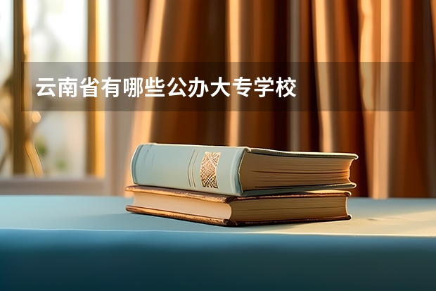 云南省有哪些公办大专学校