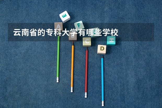 云南省的专科大学有哪些学校