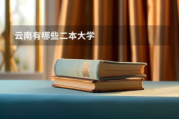 云南有哪些二本大学