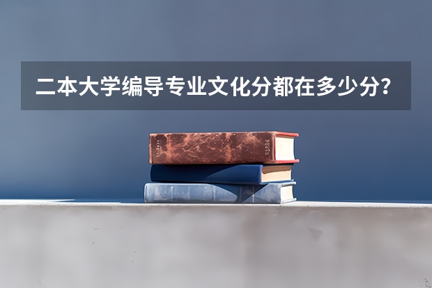 二本大学编导专业文化分都在多少分？？？
