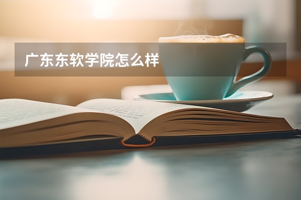 广东东软学院怎么样
