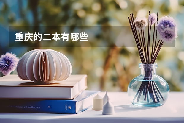 重庆的二本有哪些
