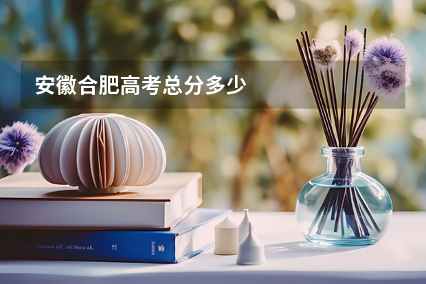 安徽合肥高考总分多少