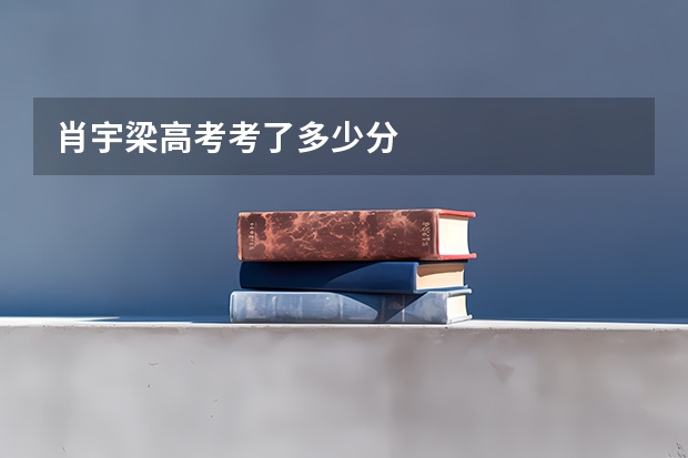 肖宇梁高考考了多少分